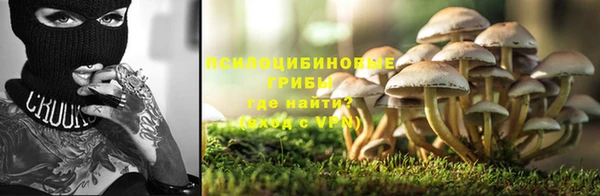 а пвп мука Надым