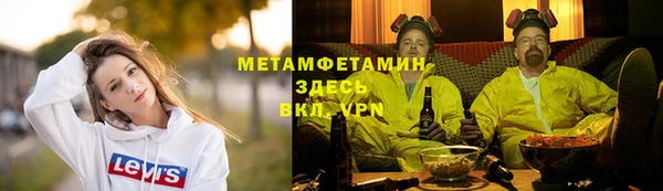 прущие грибы Нея