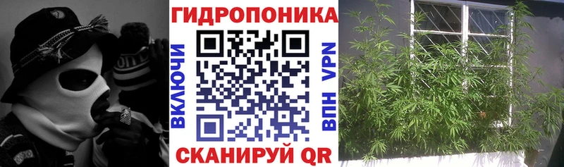 Шишки марихуана ГИДРОПОН Рославль